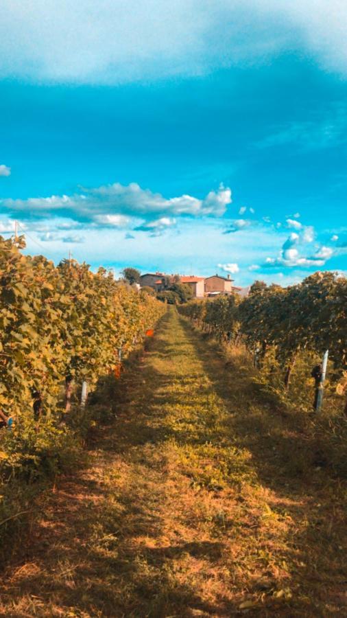 Agriturismo B&B Le Casette Sul Garda Cavaion Veronese Bagian luar foto